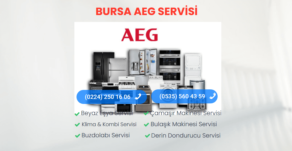 Bursa AEG Teknik Servisi