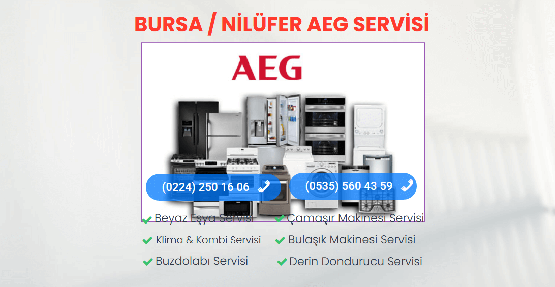 Nilüfer AEG Teknik Servisi