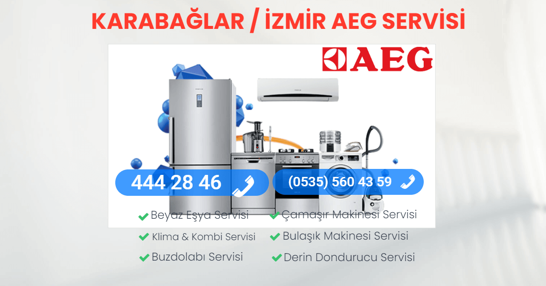 Aeg Servisi Karabağlar