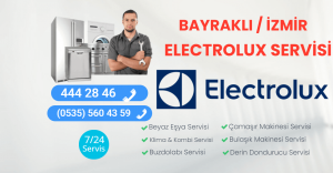 Bayraklı Electrolux Servisi