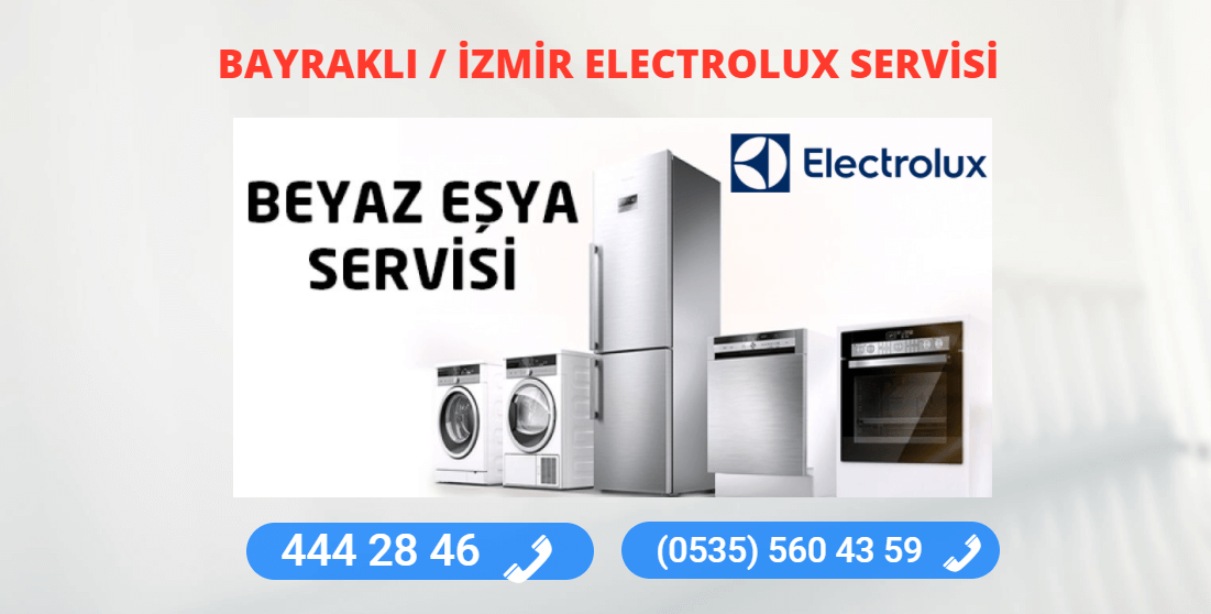 Bayraklı Electrolux Teknik Servisi