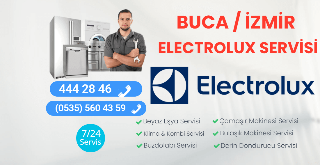 Buca Electrolux Servisi