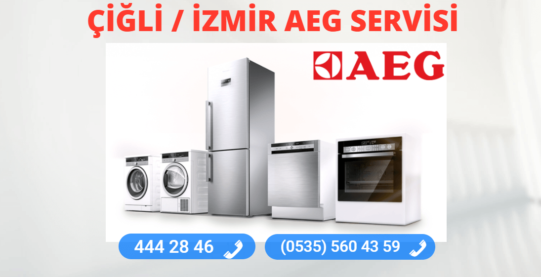 Çiğli Aeg Teknik Servisi