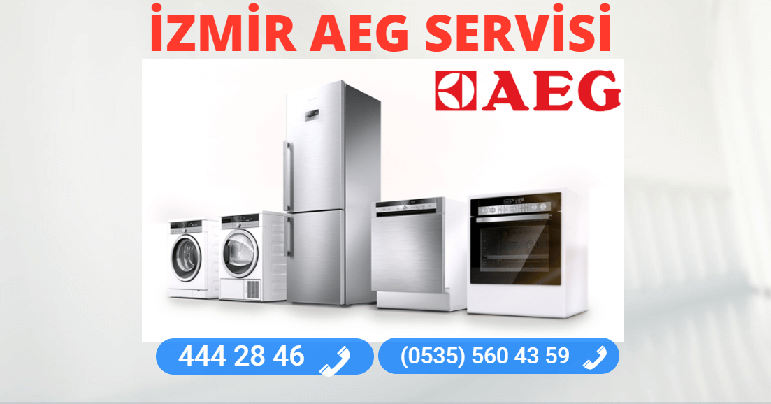 İzmir Aeg Teknik Servisi