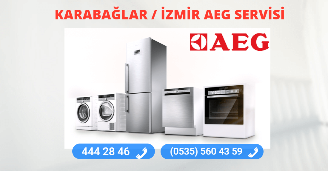 Karabağlar Aeg Teknik Servisi