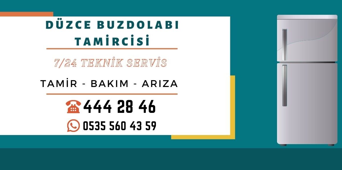 Düzce Buzdolabı Tamircisi